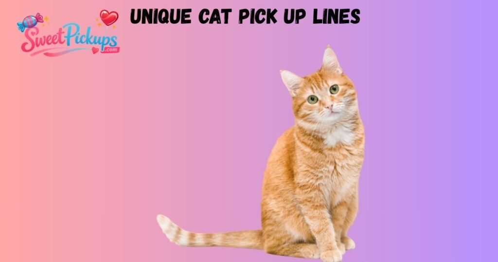 Unique Cat Pick Up Lines 