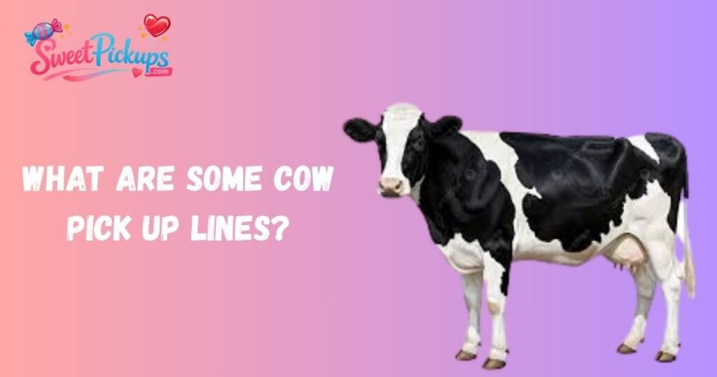 What Are Some Cow Pick Up Lines