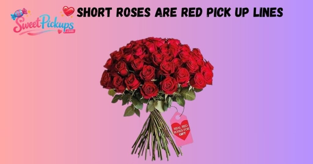 Short Roses are Red Pick Up Lines
