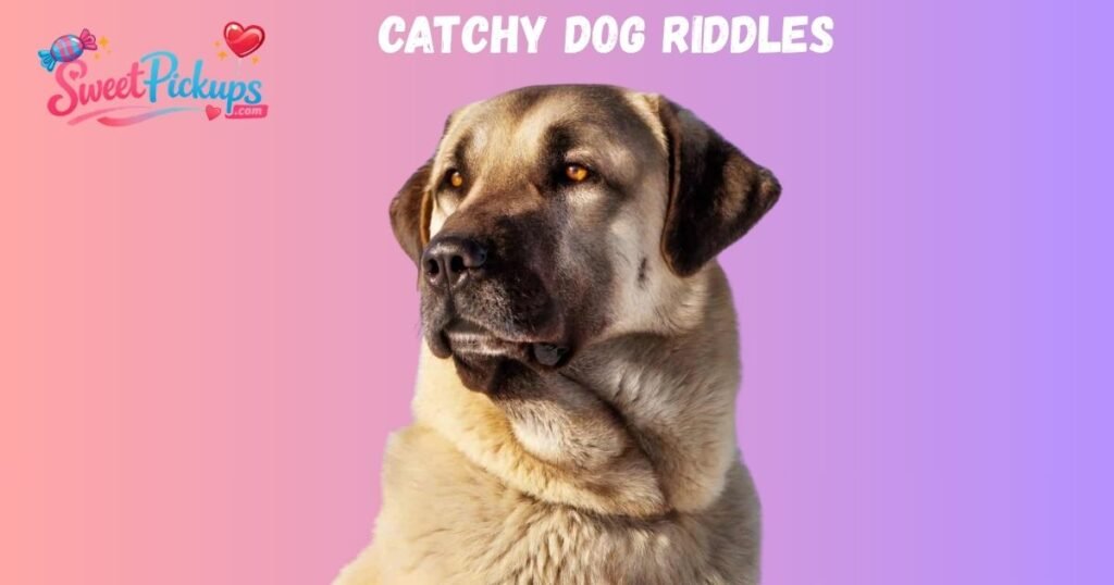 Catchy Dog Riddles