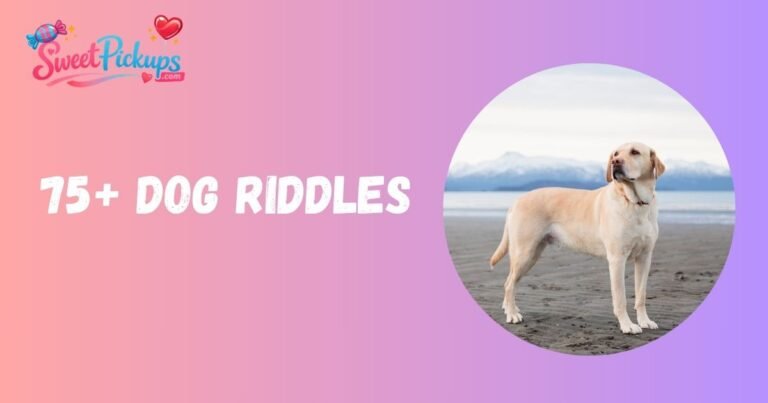 Dog Riddles