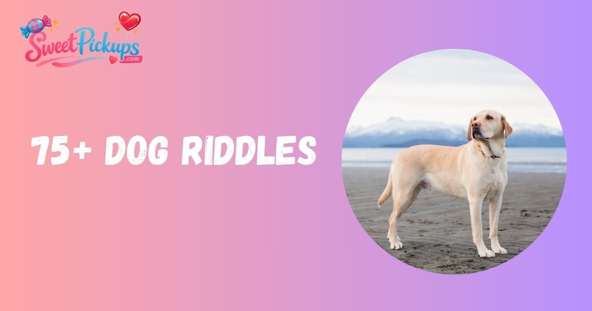 Dog Riddles