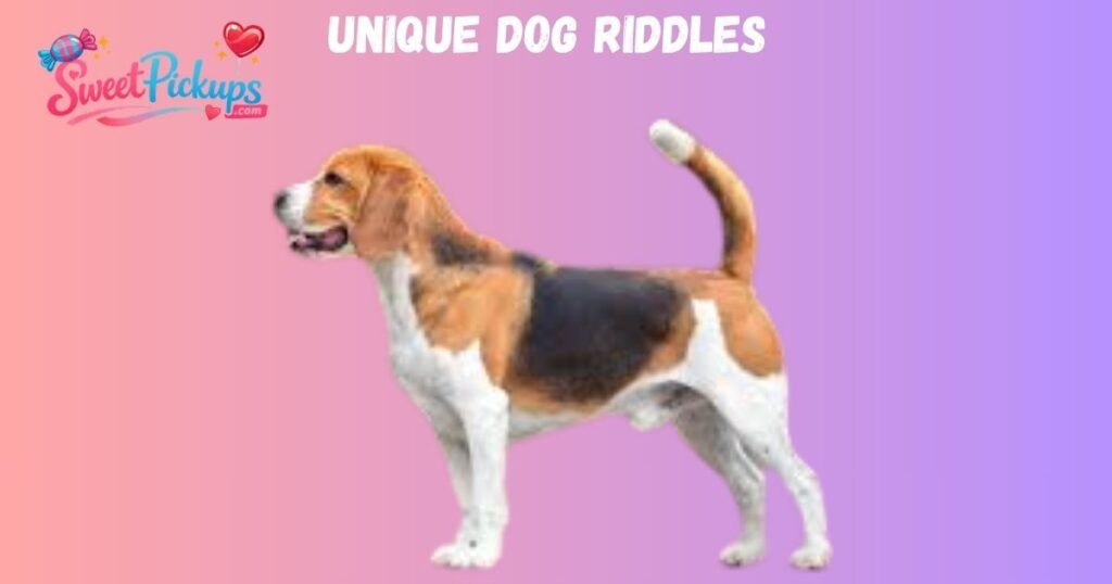 Unique Dog Riddles