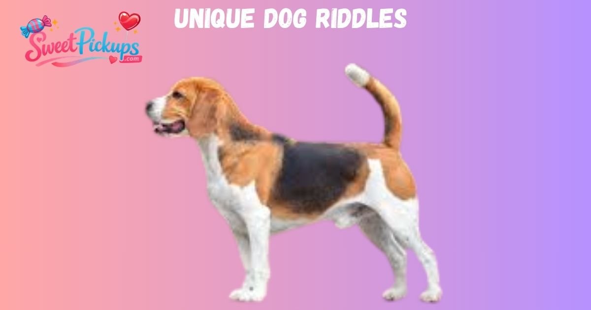 Dog Ridles 75+ Dog Riddles: Best, Amazing, and Catchy