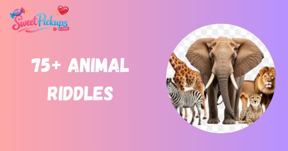 Animal Riddles