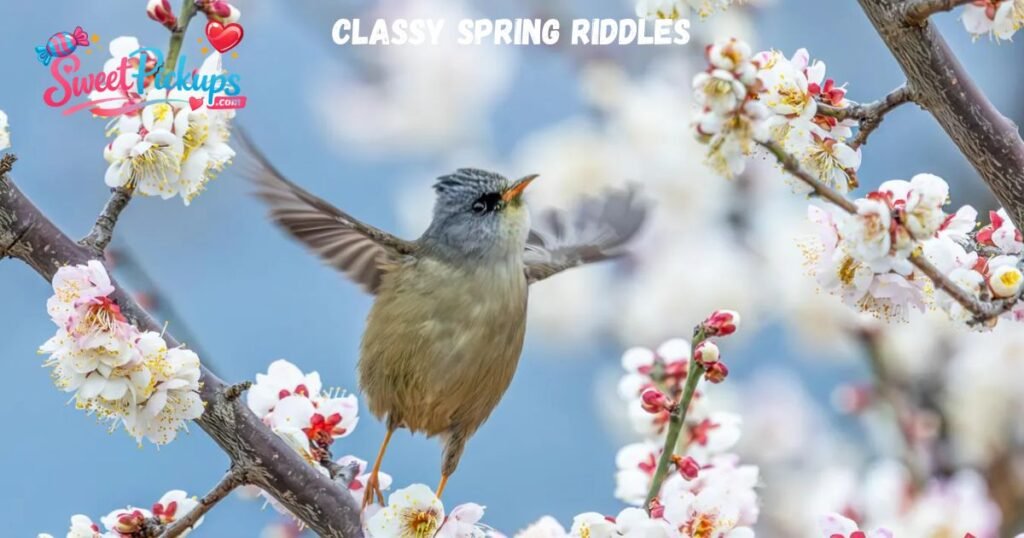 Classy Spring Riddles