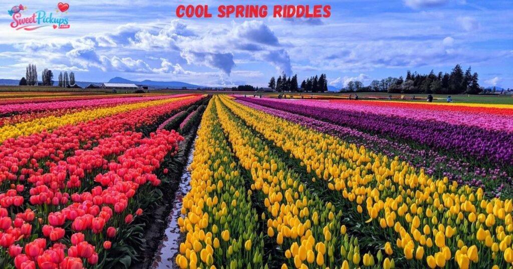 Cool Spring Riddles