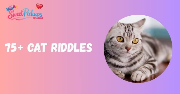 Cat Riddles