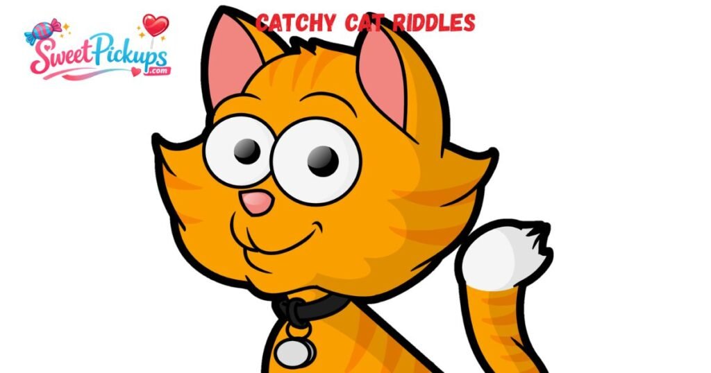 Catchy Cat Riddles